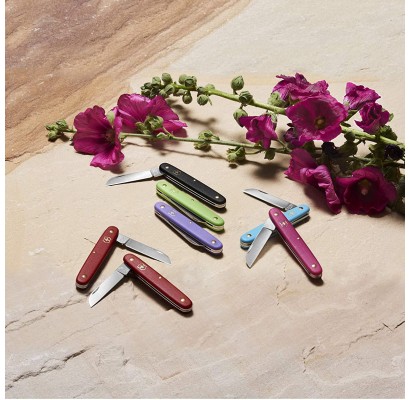 Складной садовый нож Victorinox Floral 3.9050.53B1