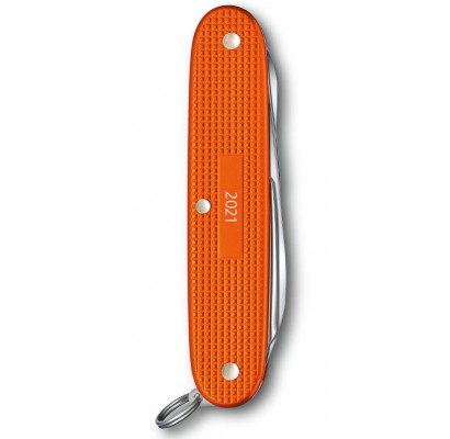 Складной нож Victorinox PIONEER X 0.8231.L21