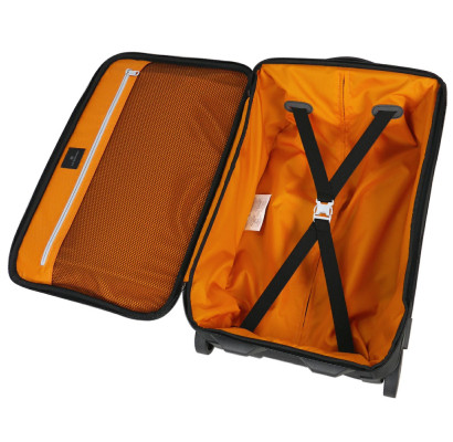 Чемодан на 2 колесах Victorinox Travel Werks Traveler 5.0 Vt32301001