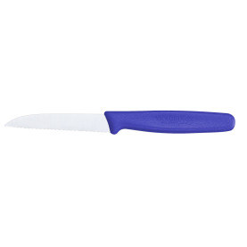 Кухонний ніж Victorinox Standard Paring 5.0432