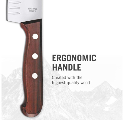 Кухонный нож Victorinox Wood Santoku 6.8520.17G