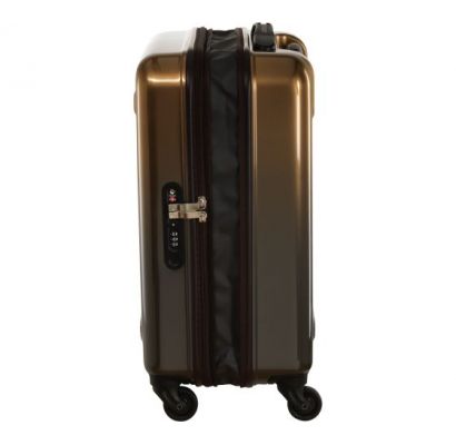 Валіза Victorinox Travel Etherius Vt602215