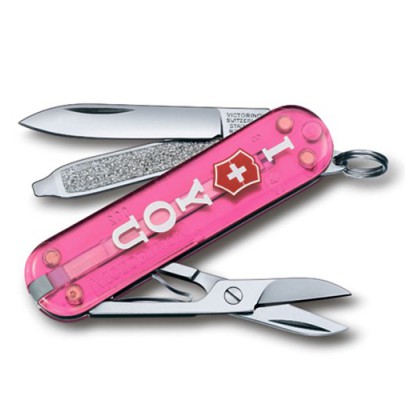 Складаний ніж Victorinox Classic 0.6223.T855