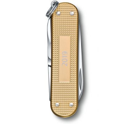 Складной нож Victorinox CLASSIC ALOX 0.6221.L19