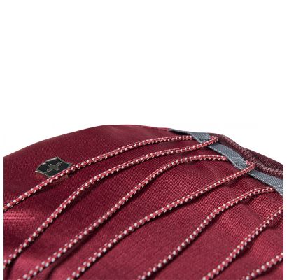 Рюкзак Victorinox Travel ALTMONT Active/Burgundy Vt602134