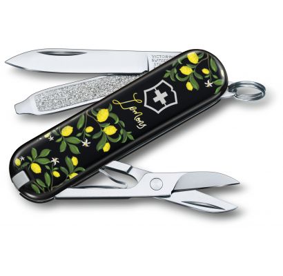 Складной нож Victorinox CLASSIC LE 0.6223.L1905