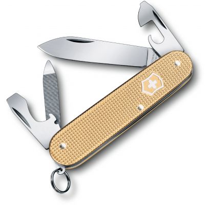 Складной нож Victorinox CADET Alox 0.2601.L19