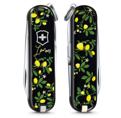 Складной нож Victorinox CLASSIC LE 0.6223.L1905
