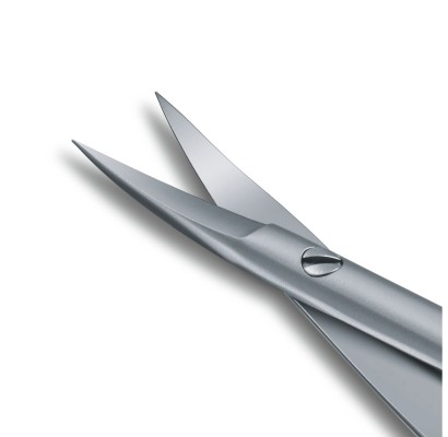 Ножницы маникюрные Victorinox Rubis 8.1661.09
