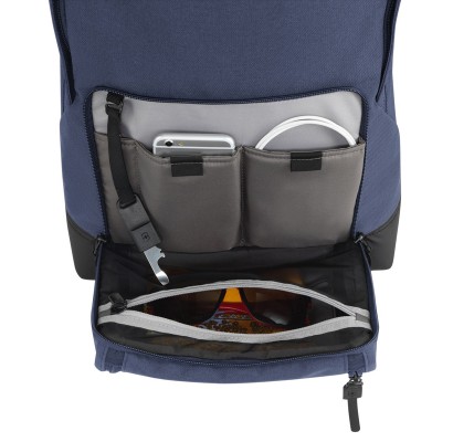 Рюкзак для ноутбука Victorinox Travel ALTMONT Classic/Deep Lake Vt605321
