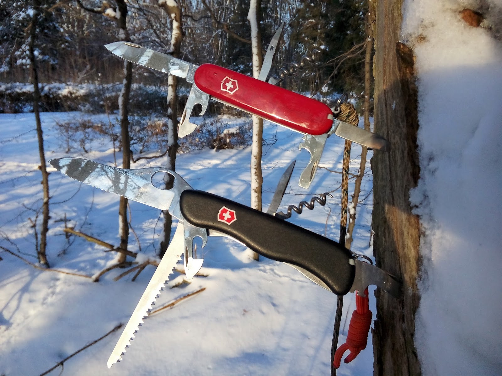 Какой нож Victorinox подарить