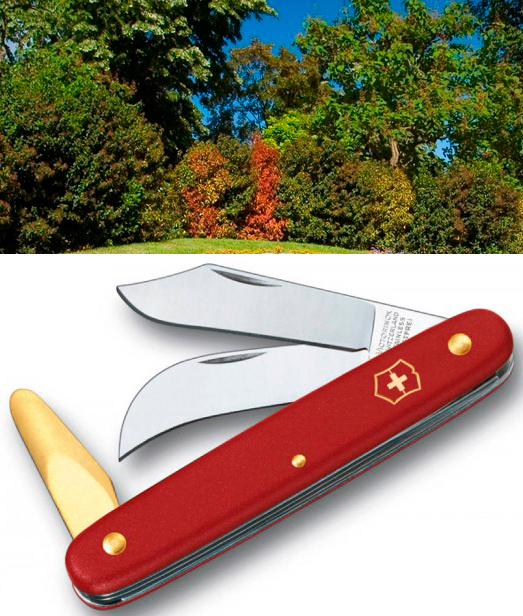 Какой нож Victorinox подарить